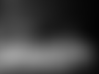 Cass, Carpenter, and the Unsustainable Conditions of Industry Standards