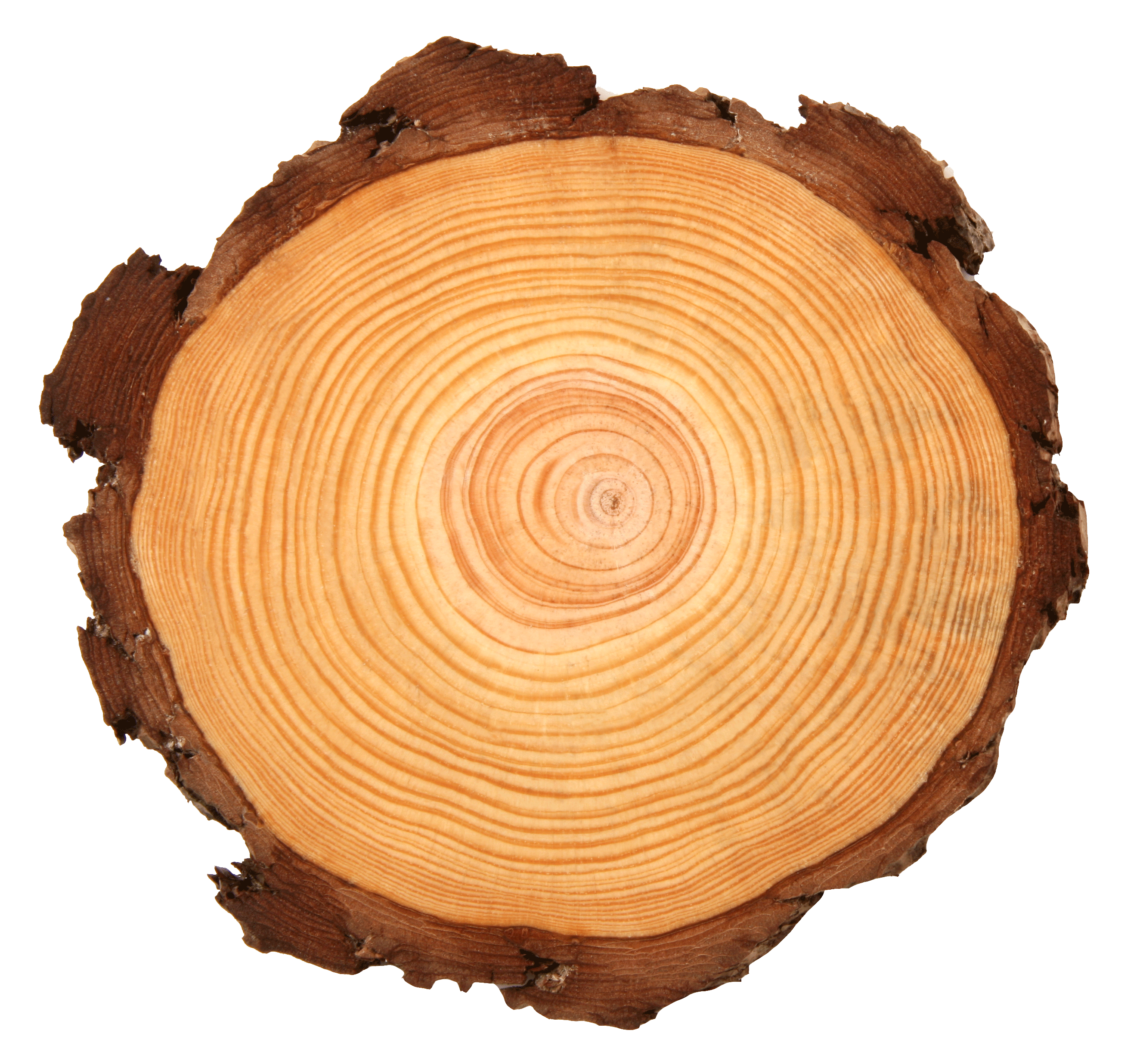 Log_NoShadow.gif