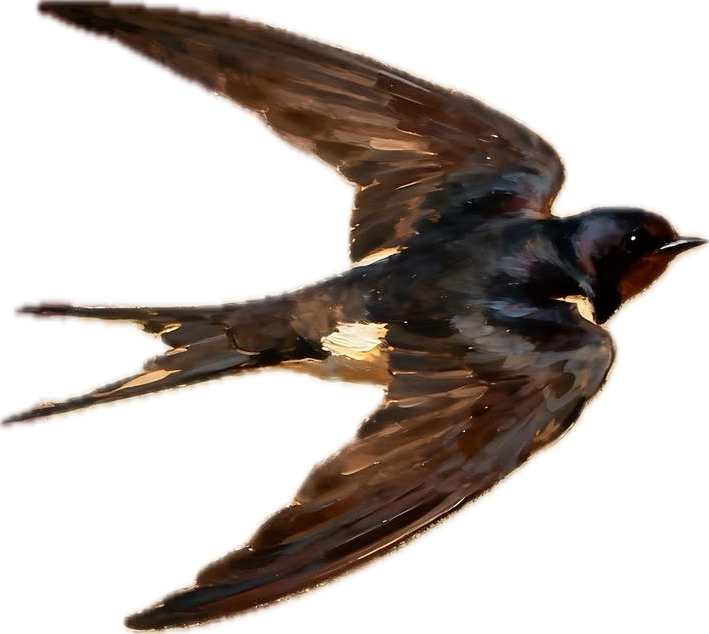 IMG_5380.png
