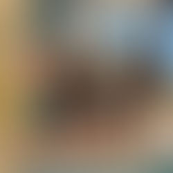 13. internationale Masters-Meisterschaften: 8 Medaillen, 8 persönliche Bestzeiten, 4 Schwimer:innen