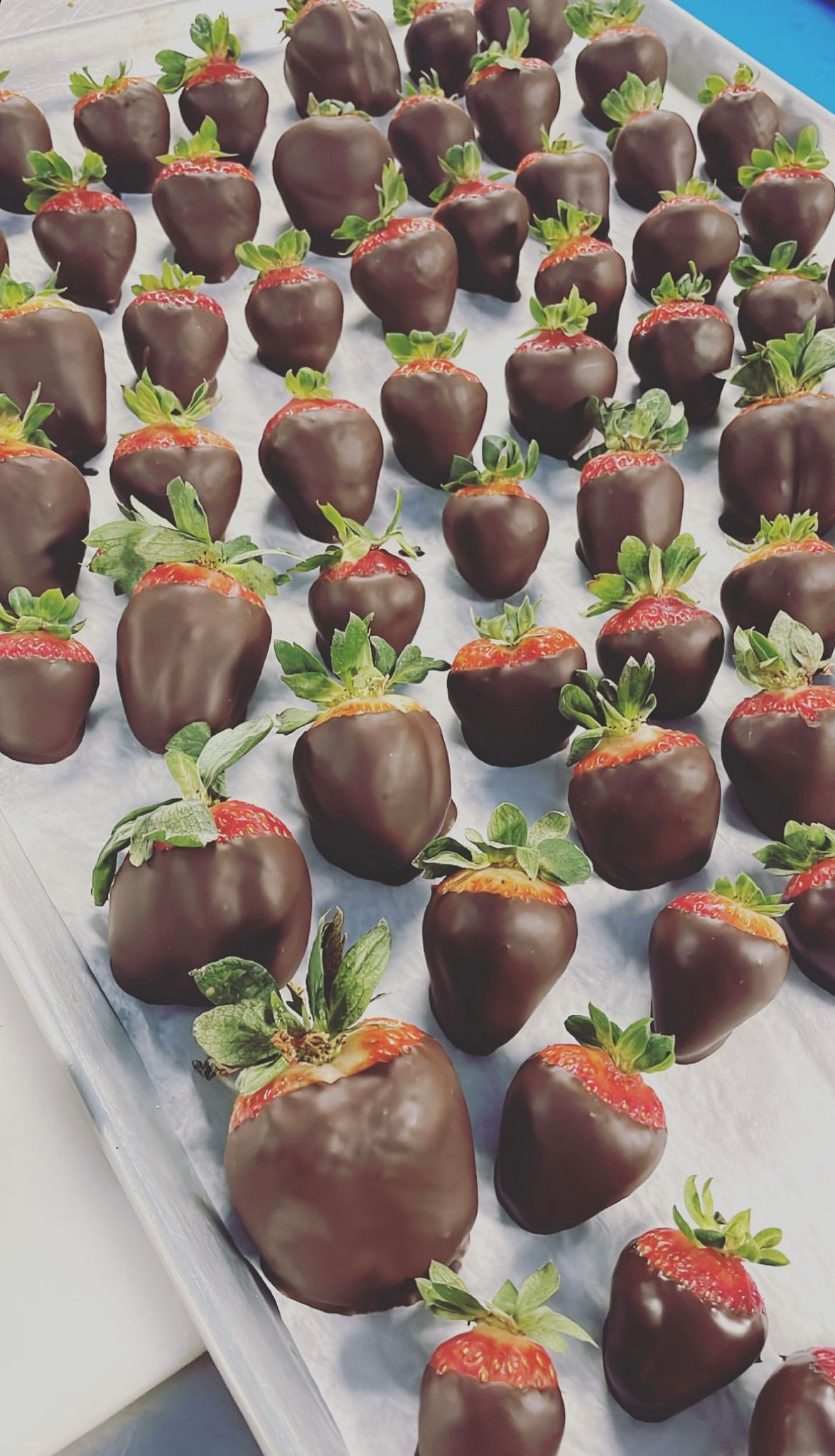 Chocolate Covered Strawberries