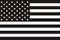 American flag.jpg
