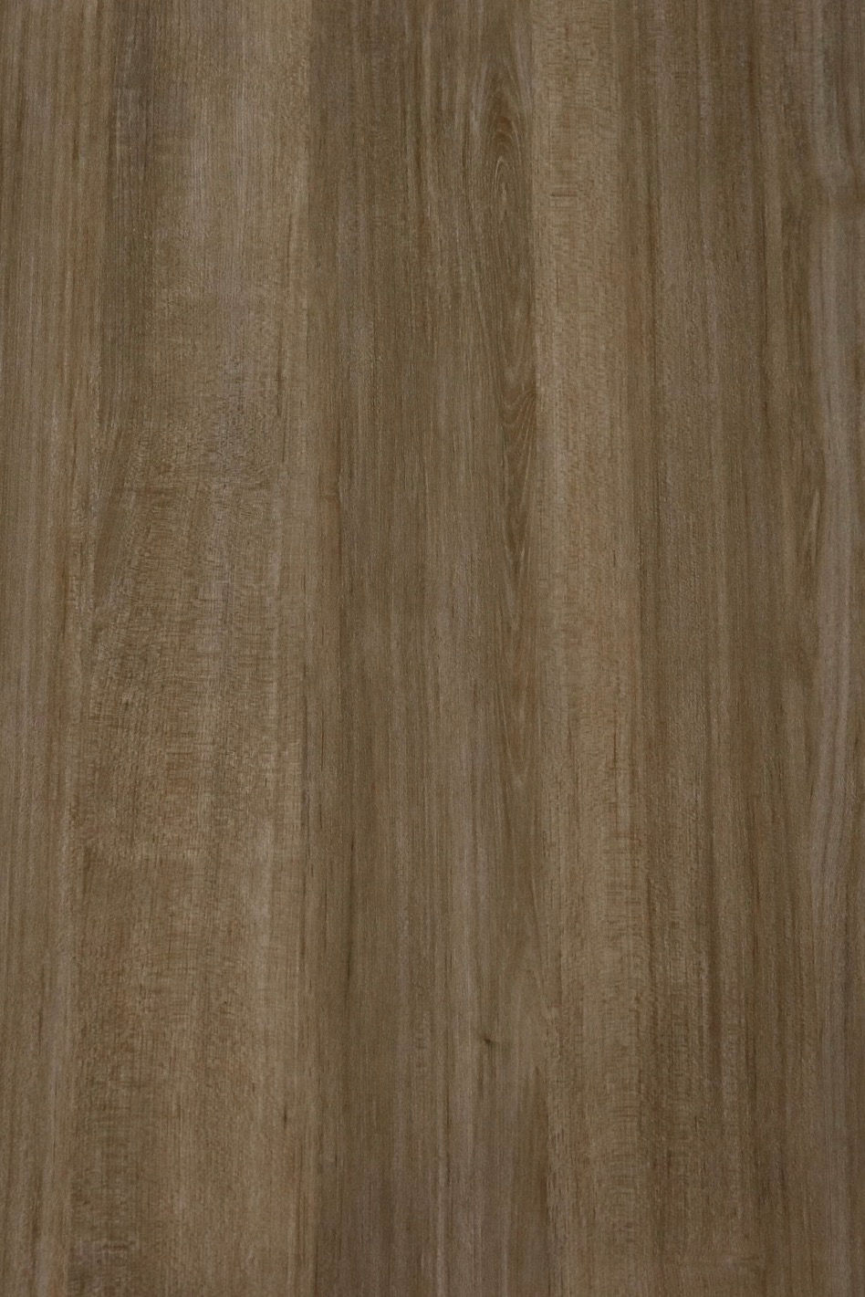 Thumbnail: Emilia "sample"