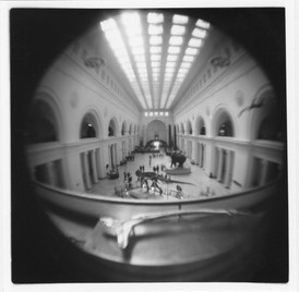Through the Lens at the Field Museum