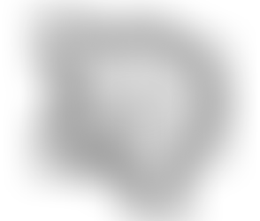 The Rise of Square Photos: A Universal Standard for Social Media Platforms