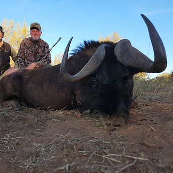 WhatsApp Image 2024-07-02 at 12.53.30.jpeg