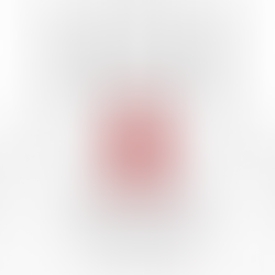 Lumbal spine assesment