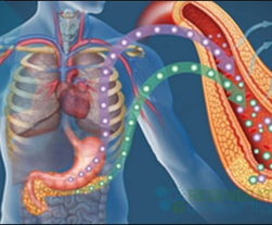 Metabolsk Syndrom