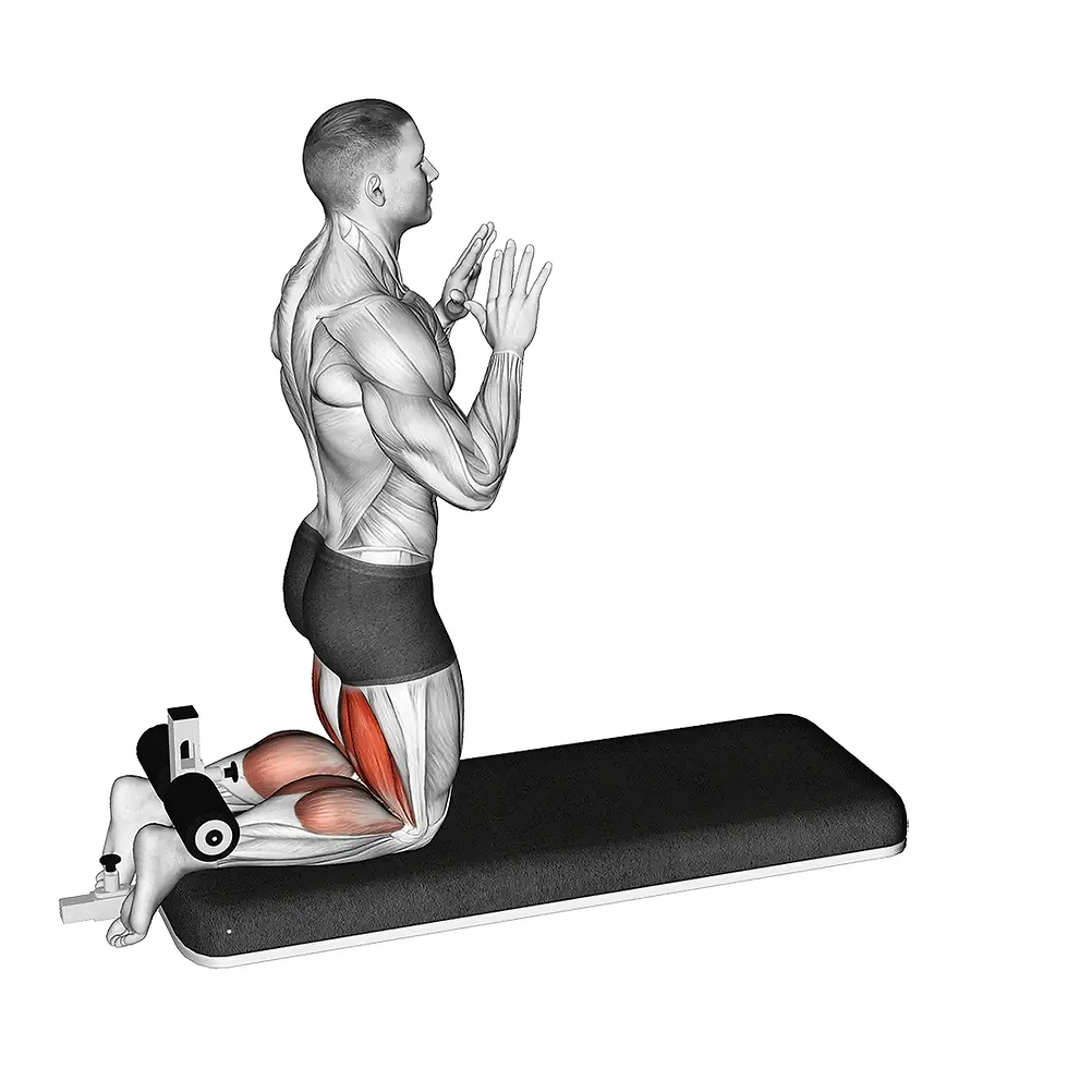 Nordic hamstring curl