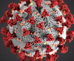 Coronavirus