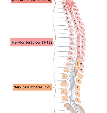 Lumbar Radiculopathy assesment