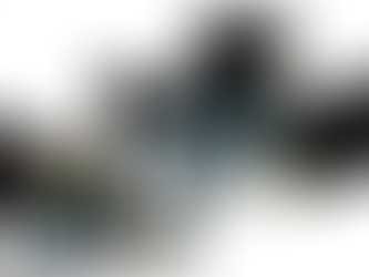 2.3 Thesis 3: Major Project / Thesis Materials