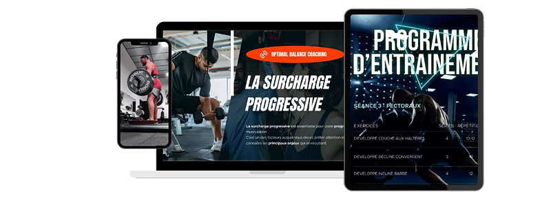 La surcharge progressive logo