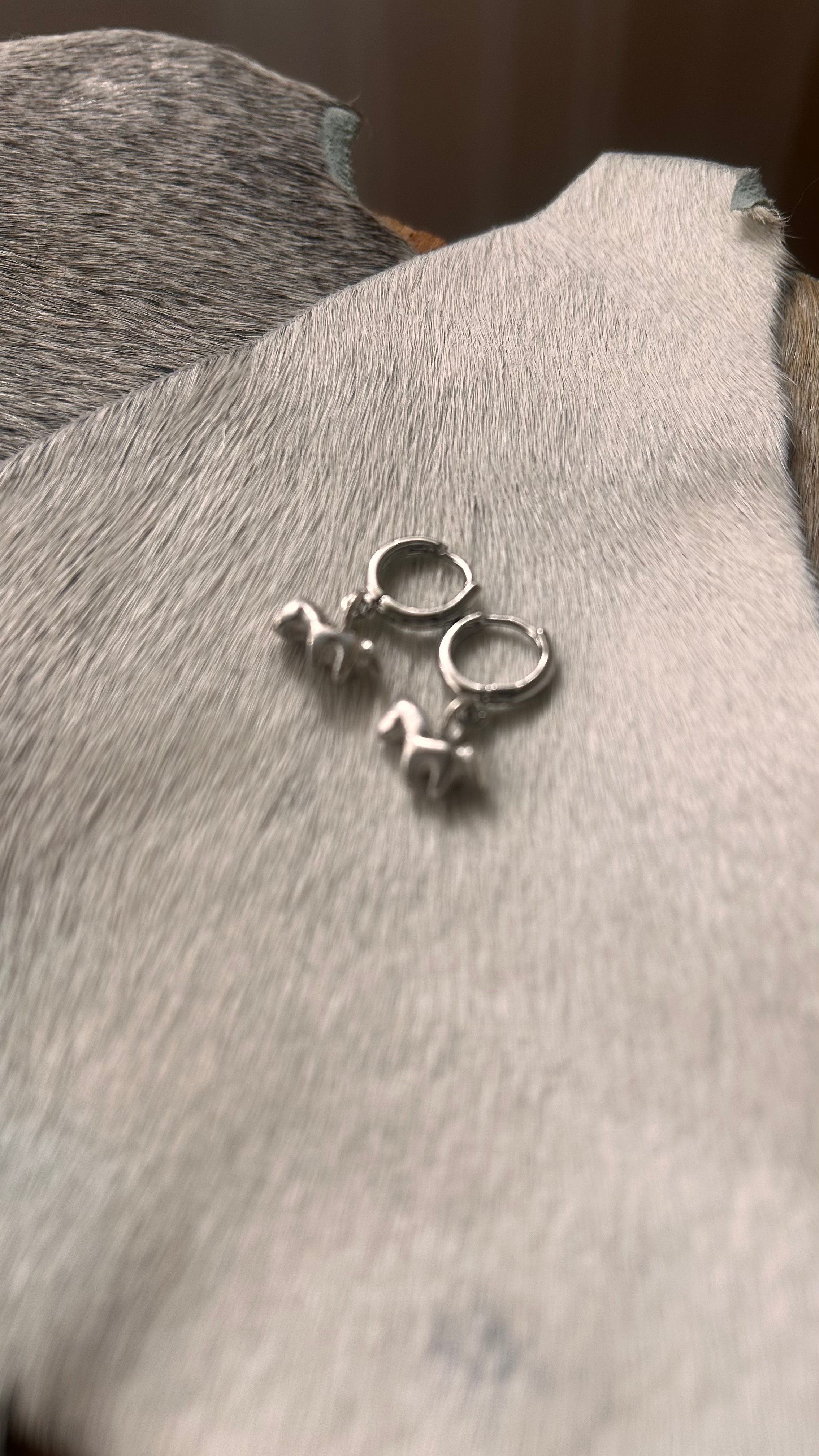 Caballitos Caravanas  