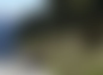 Les dernières nouveautés au BR