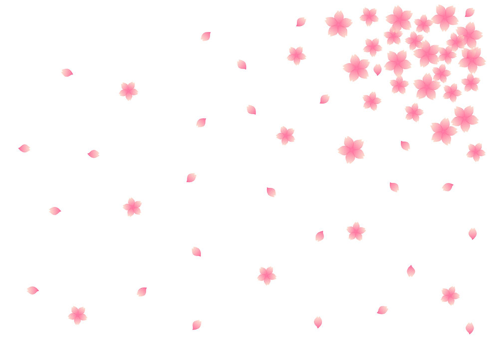 40511.jpg