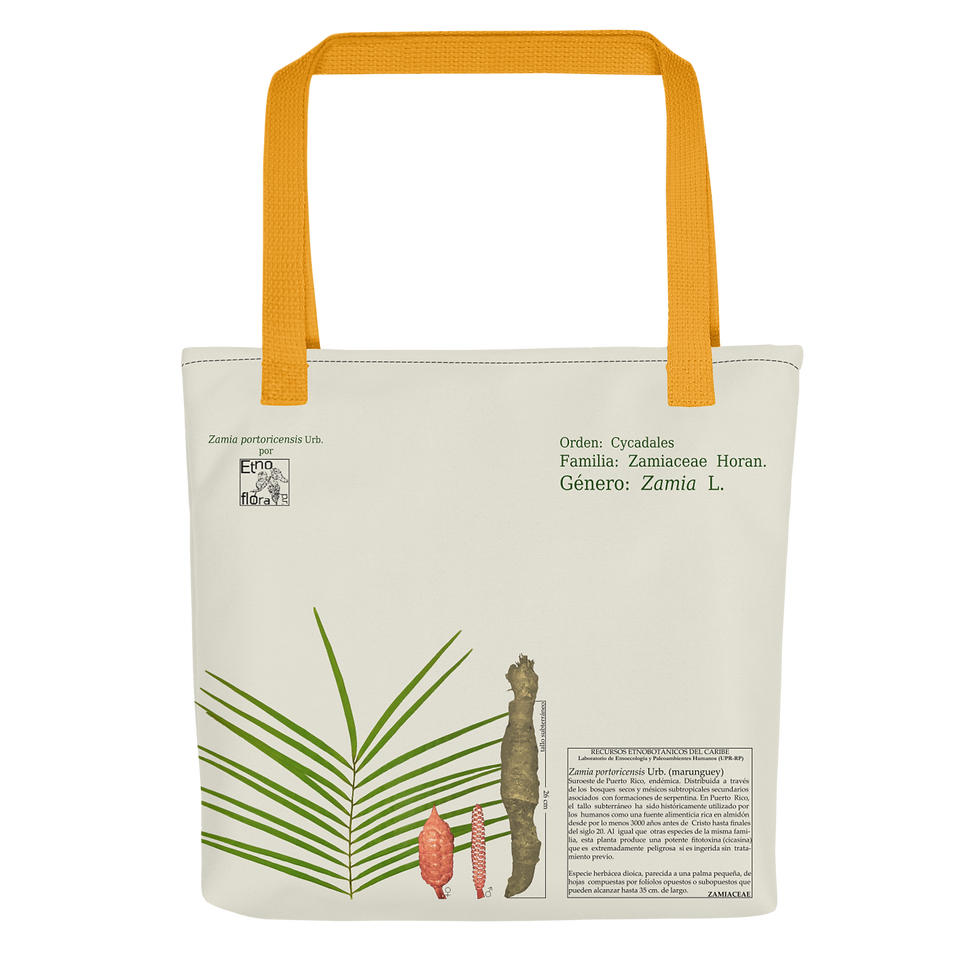 Thumbnail: Marunguey (Zamia portoricensis-Herbarium Edition)