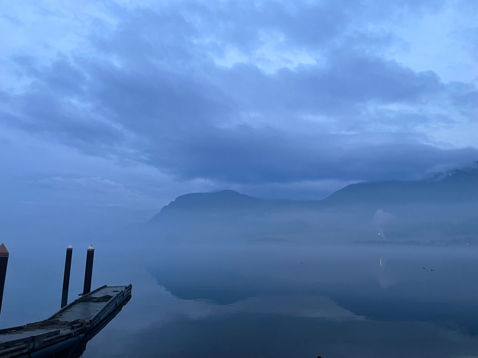 Winter Fog 3