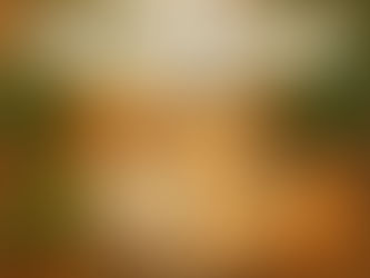 《12月份護理時間表》