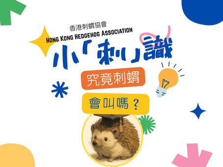 小「刺」識 - 究竟刺蝟會叫嗎?