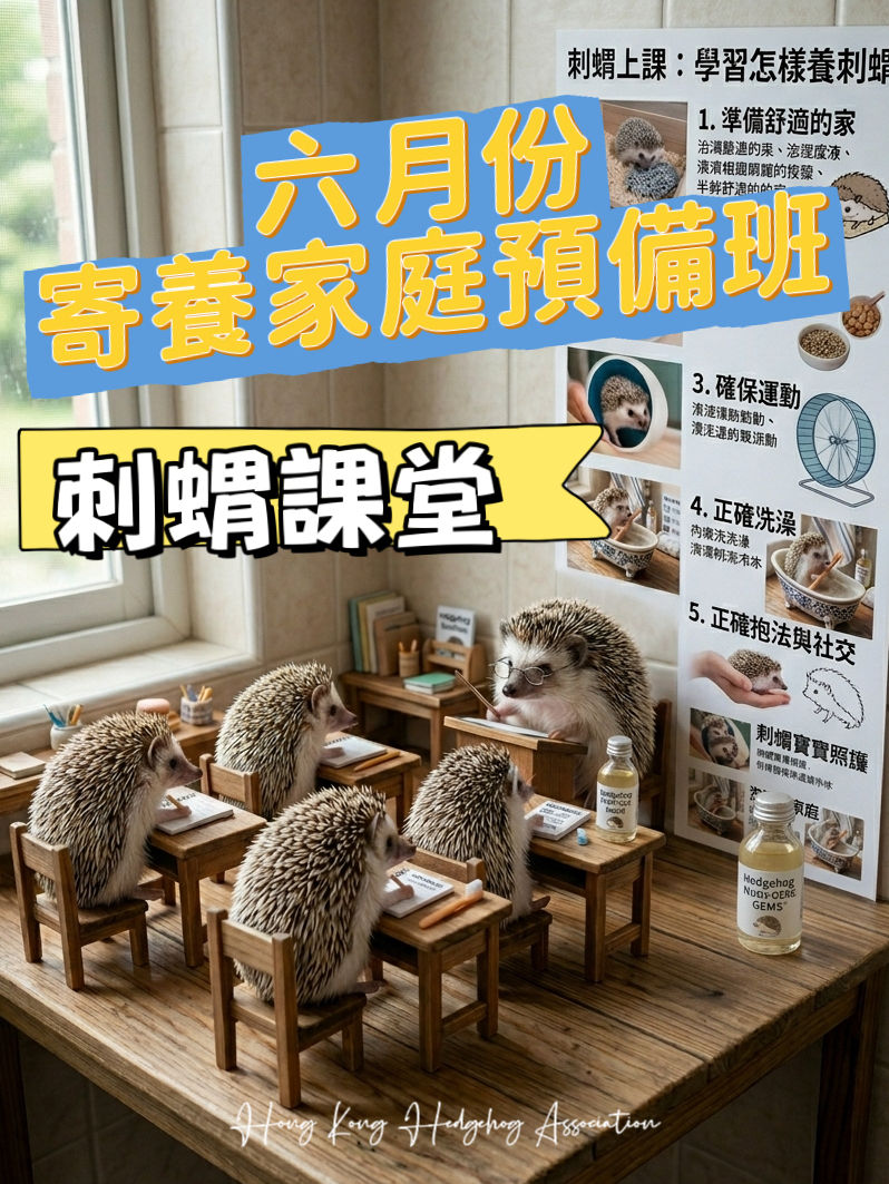 《六月份刺蝟課堂 》