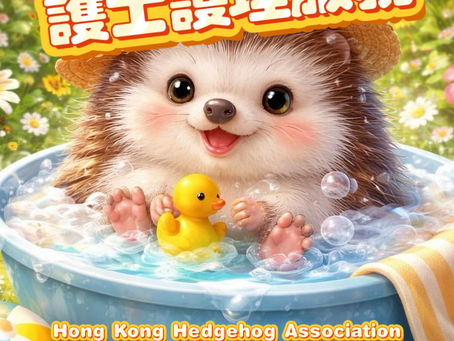 《6月份護理時間表》