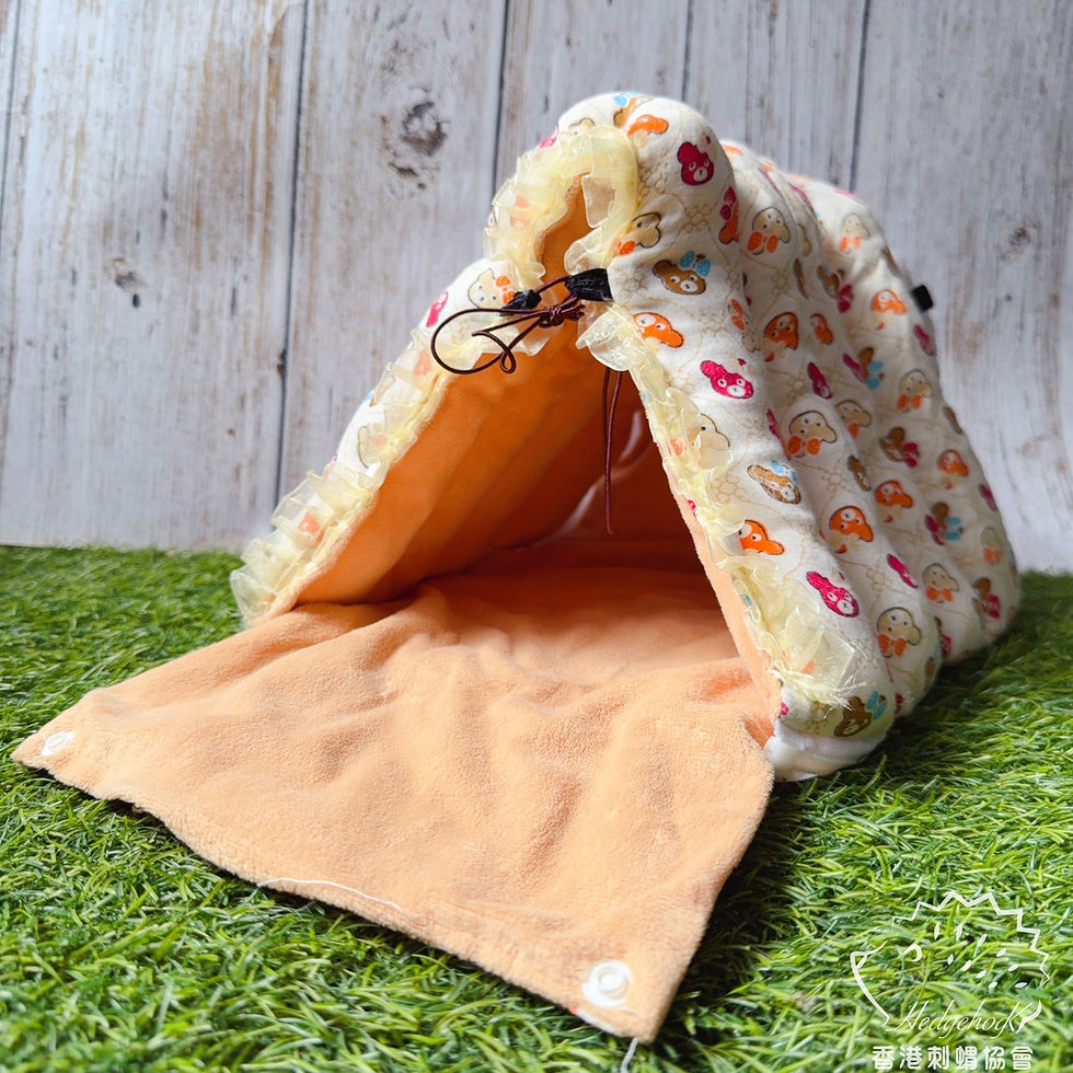 熊仔巨型刺蝟帳幕(22×25×22 cm)