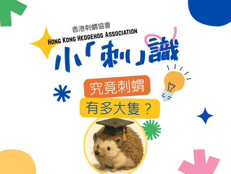 小「刺」識 - 究竟刺蝟 有多大隻?
