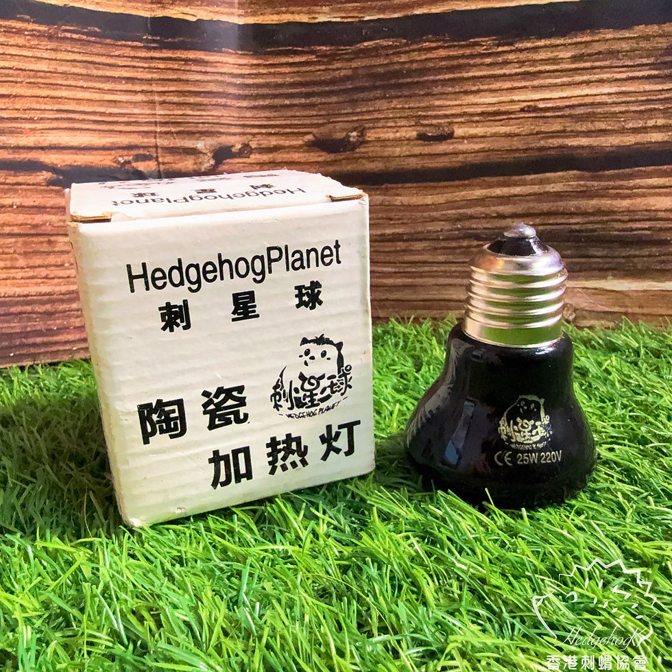 刺星球25W 黑色陶瓷暖膽(全新有盒)