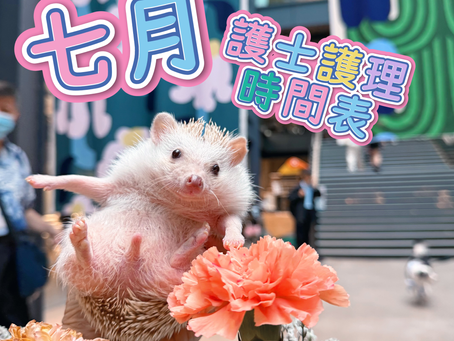 《7月份護理時間表》