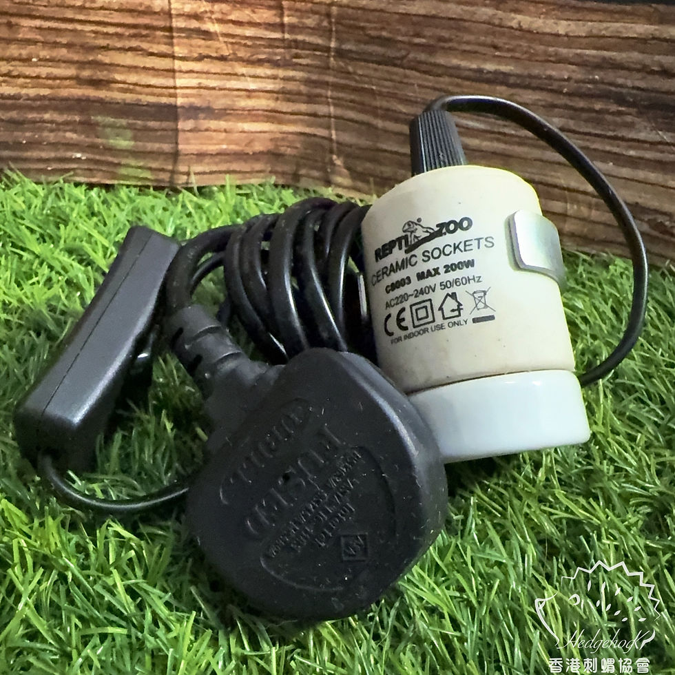 Zoo med 三腳插燈座