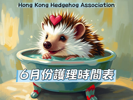 《6月份護理時間表》