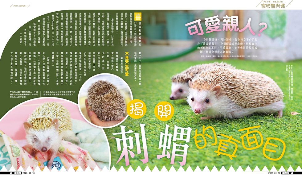 東周刊1.png
