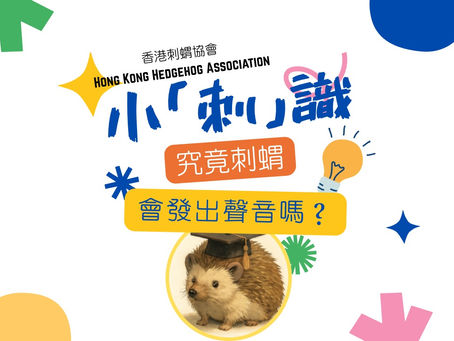 小「刺」識 - 究竟刺蝟會發出聲音嗎?