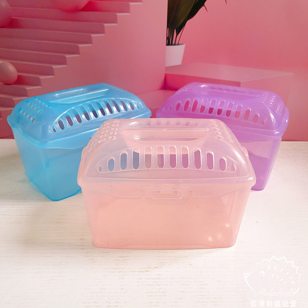 藍色塑膠小型外出盒( 16×10×11 cm,破損見圖