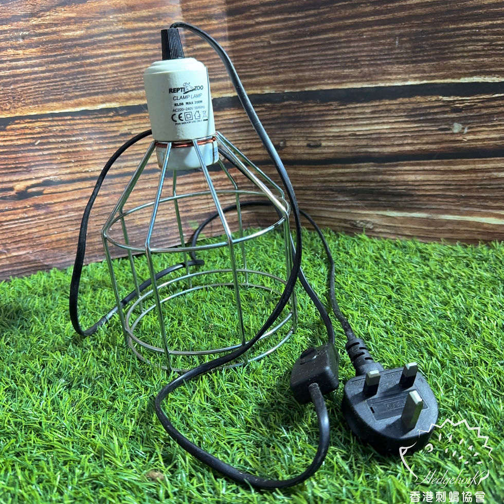 Repti zoo 網燈罩(直徑14高23 cm