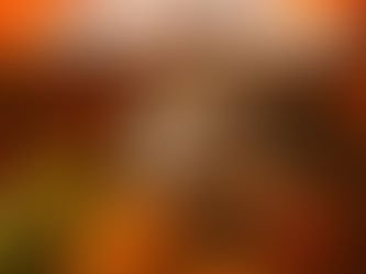 「愛刺月圓」月餅計劃完滿結束🦔🧡