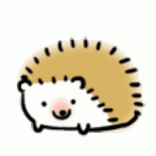 cute-hedgehog.gif