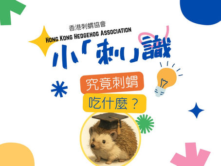 小「刺」識 -究竟刺蝟吃什麼?