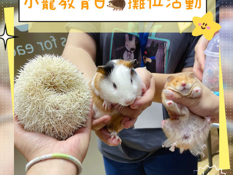 《香港小小寵教育日活動花絮》