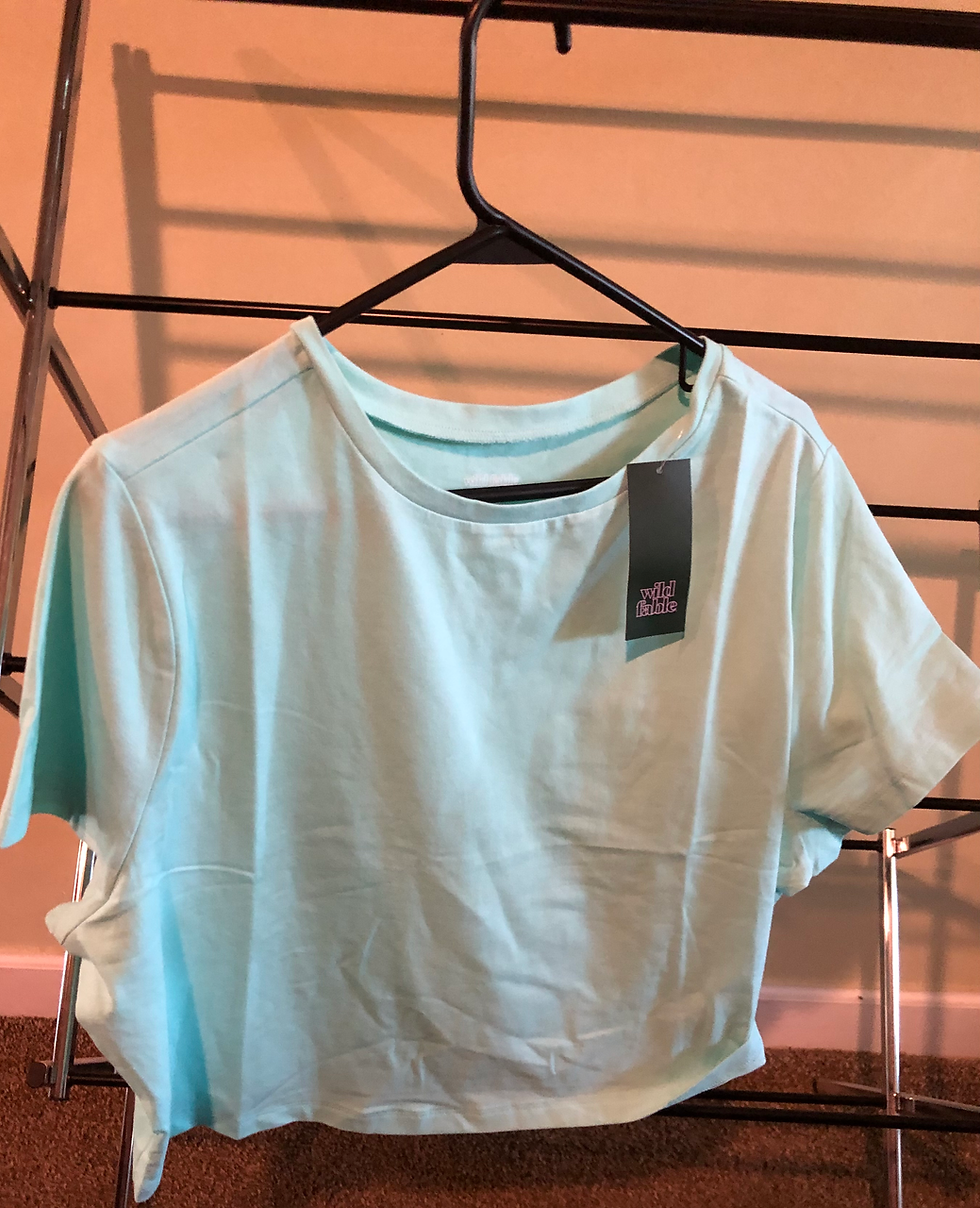 Wild Fable Womens Plus Value Crew Neck Crop Tee Blue Size 2X