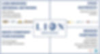 lionbrokers network.jpg