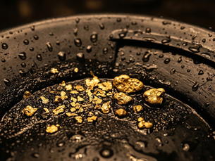 Gold paydirt ROI recovery of investment explained