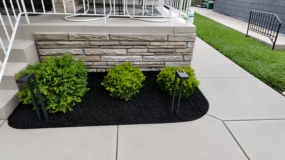 New boxwood shrubs, black mulch, and lighting near the front entry bed.