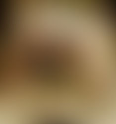 The Lord of the Rings: The Fellowship of the Ring 2001