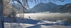 winter_2_large-800x321