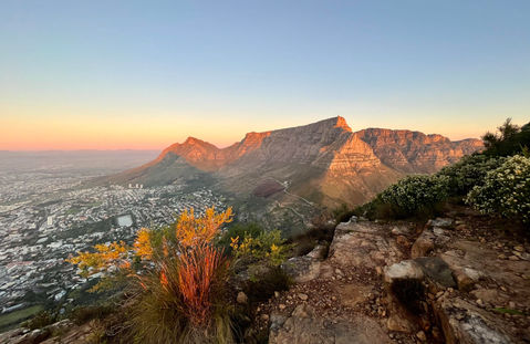 Table Mountain