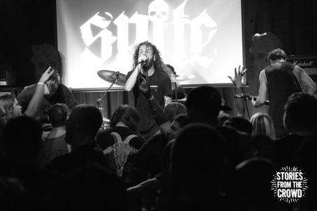 Spite Shreds The Reverb Lounge
