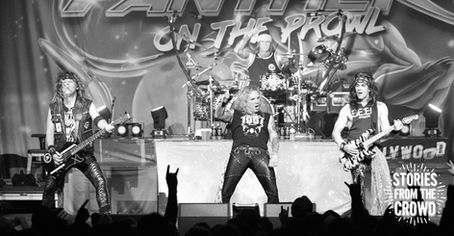 Steel Panther Is On The Prowl!