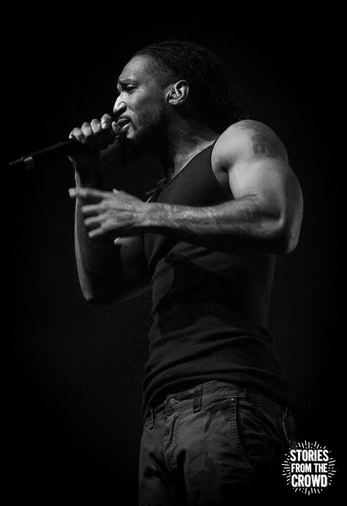 IMG_8553